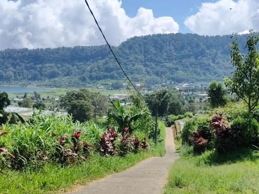 TANAH VIEW DANAU BUYAN DI BEDUGUL