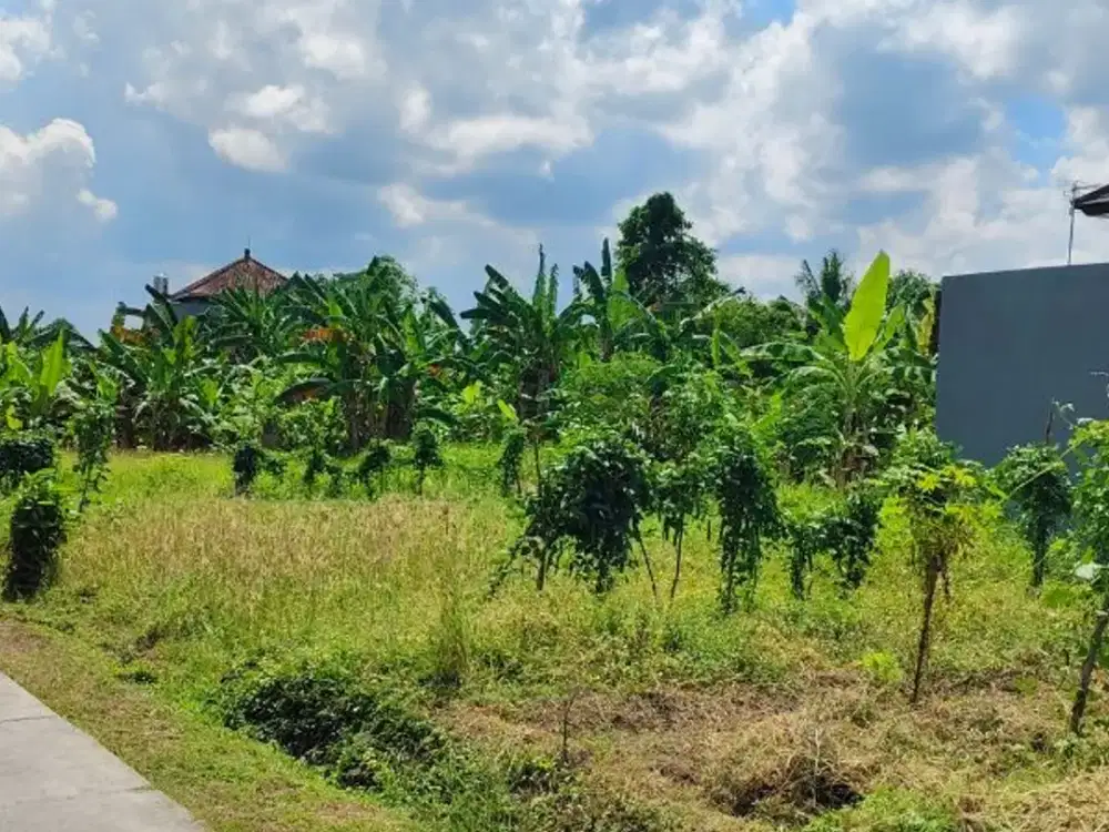TANAH 2 ARE COCOK UNTUK RUMAH VILLA DEKAT YEH GANGGA TABANAN