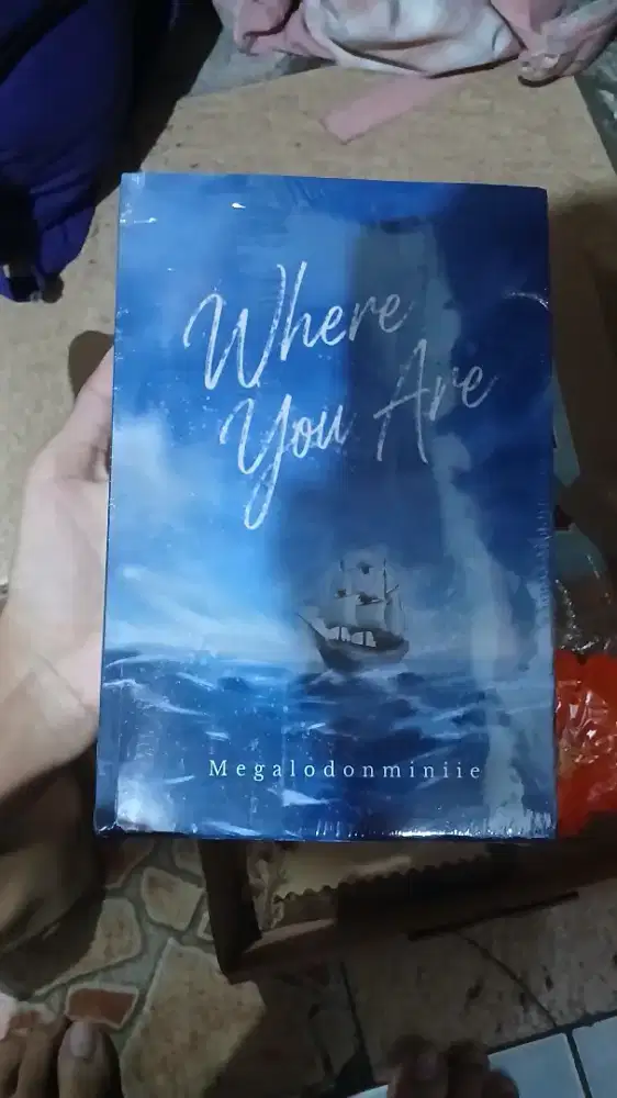 Novel Where You Are by Megalodonminiie