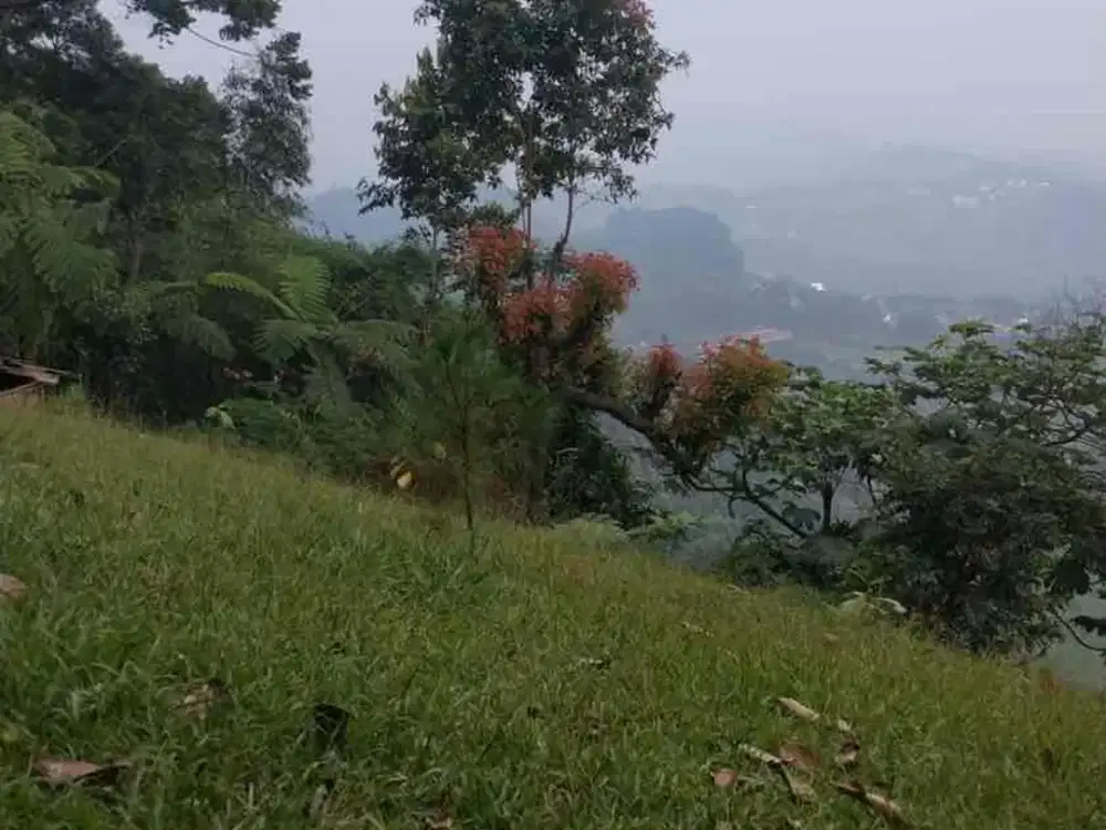 Dijual tanah murah bogor