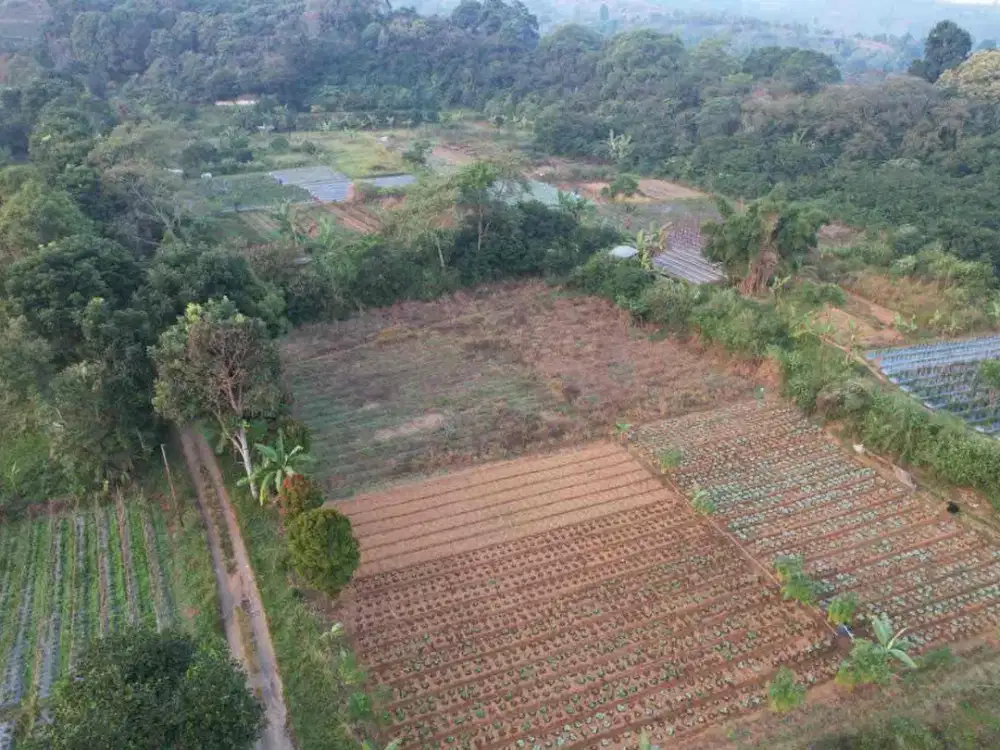Dijual tanah murah Megamendung bogor