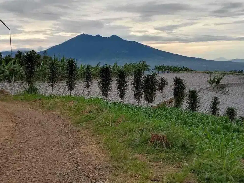 DIJUAL TANAH MURAH BOGOR