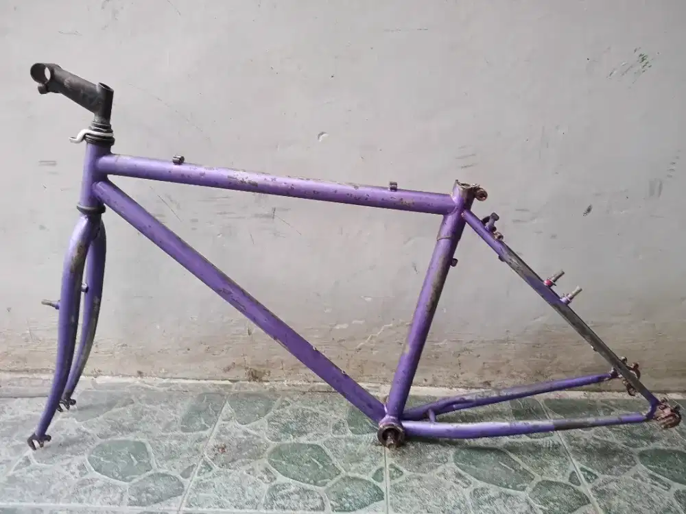 Frame federal cat orian mulus