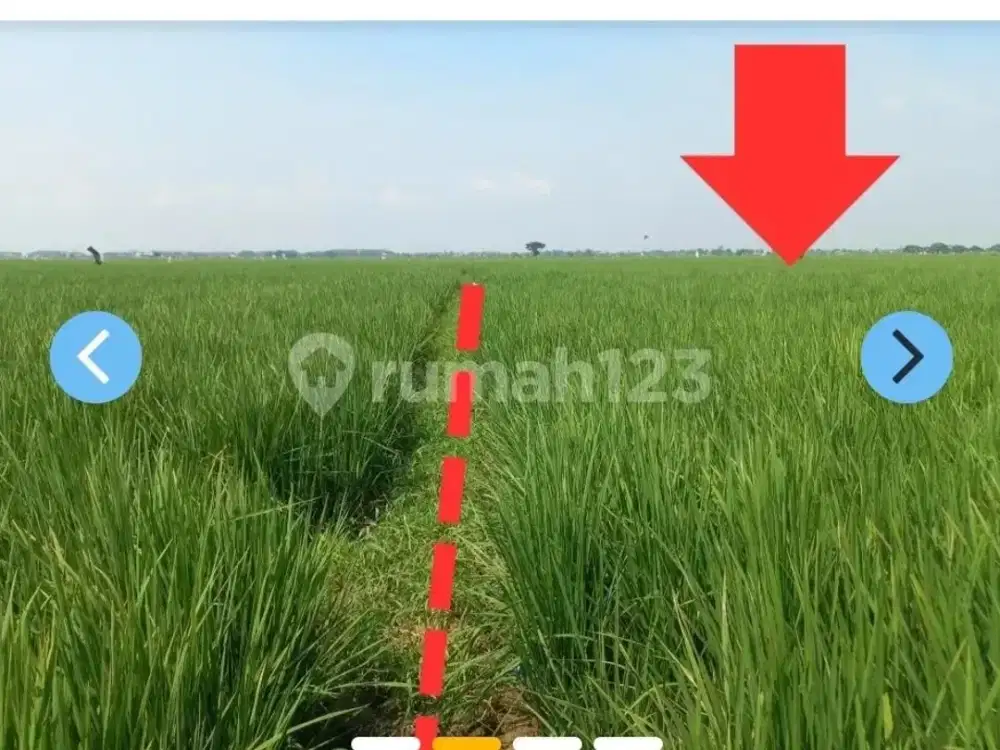 Tanah Lahan Cikarang Pebayuran