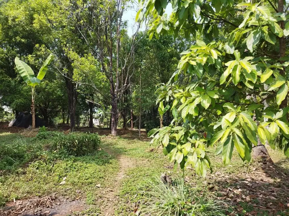 DI Jual  Kavling di Pasir Impun sudah apraisal bank