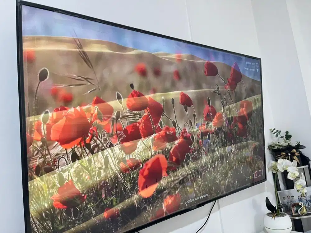 Televisi Sony 55-65 inci