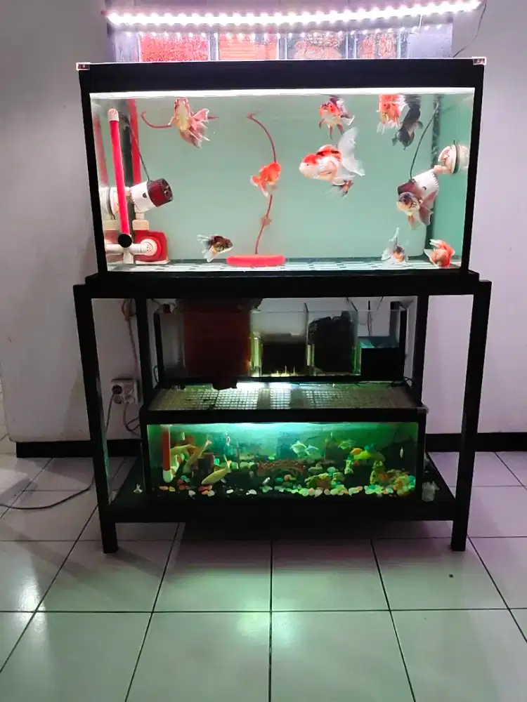 Aquarium 2 Set plus Aksesoris