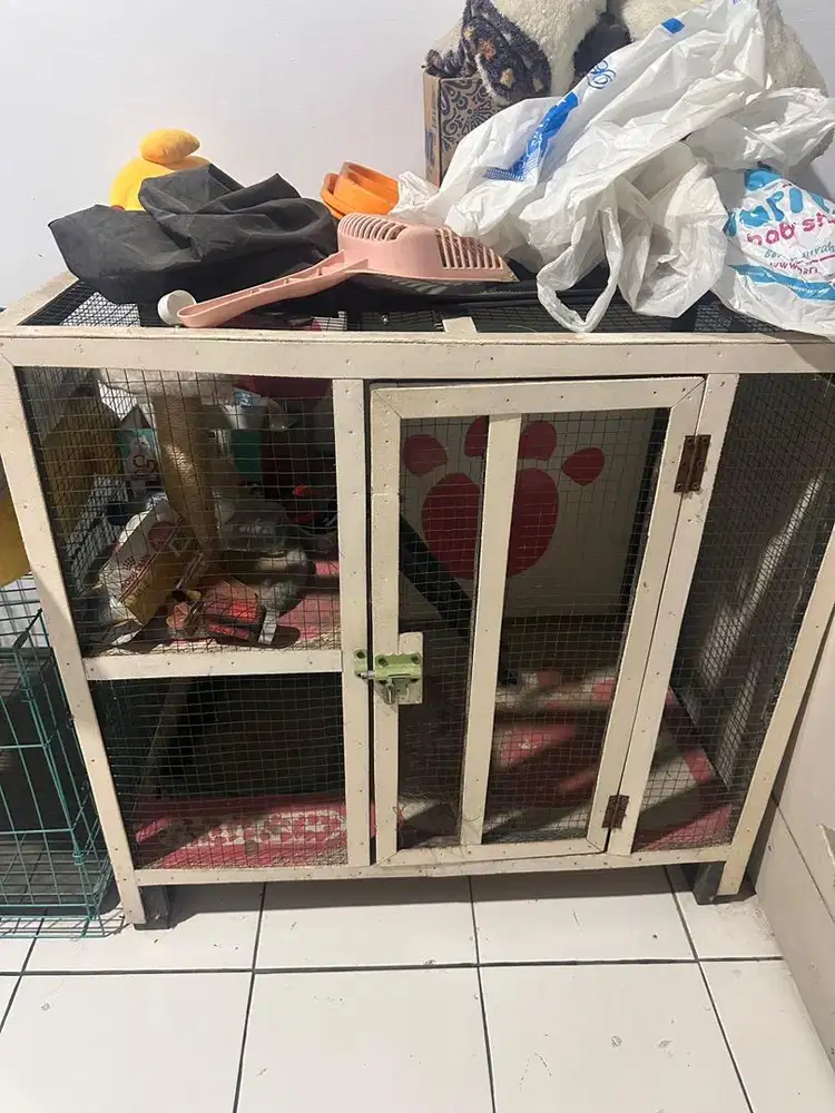 Kandang kucing bekas