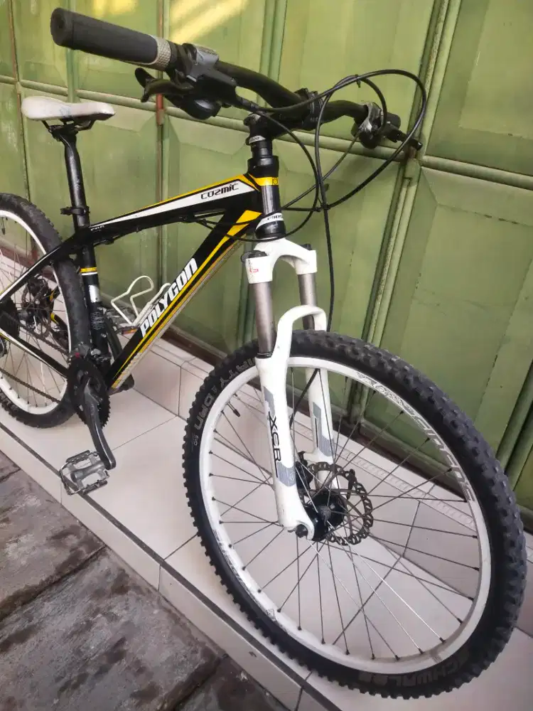 Sepeda polygon cosmic cx 1.0