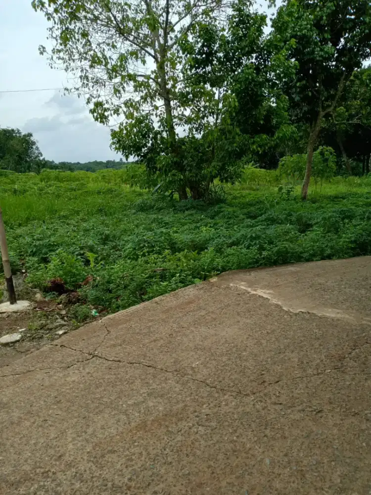 Tanah  cantik  di  jual  bogor  gunung dindur