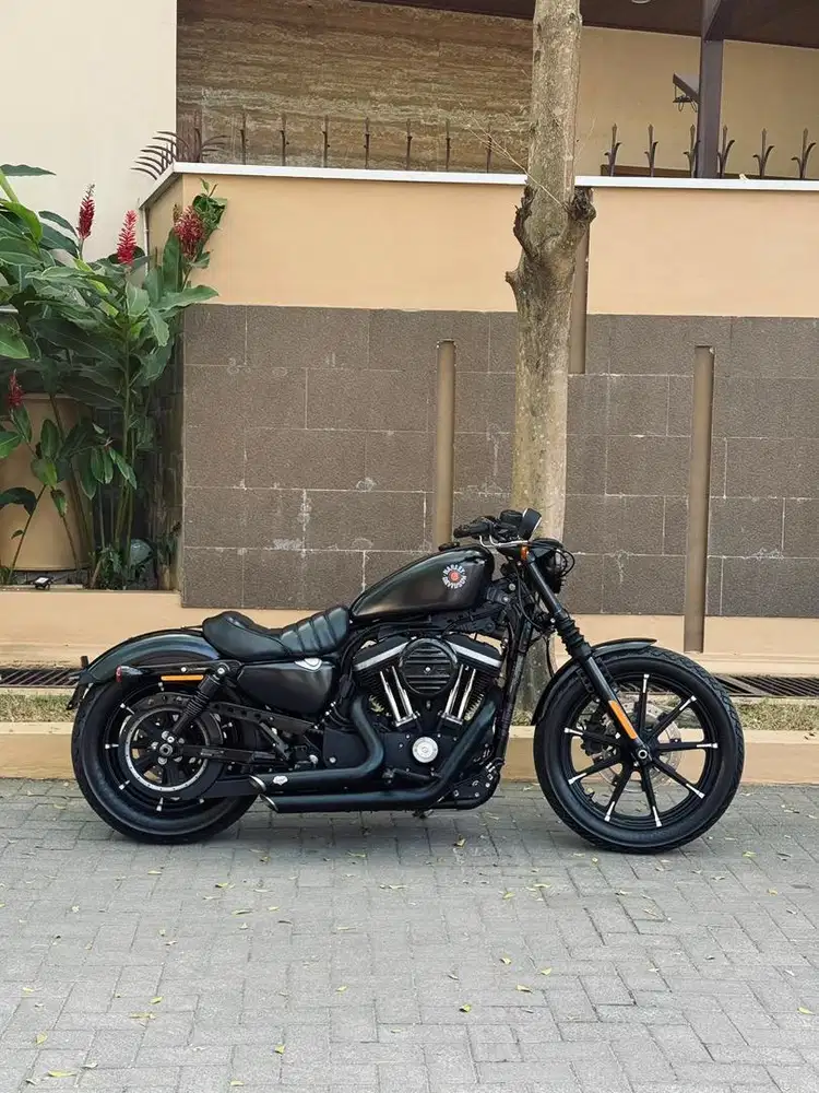 Harley Davidson Sportster iron 2022 / Sportster 48 / Sportster 1200