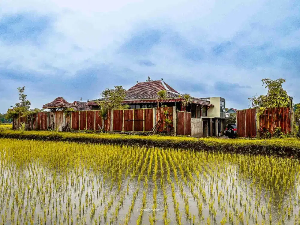 Dijual Rumah/Villa View Sawah Kasihan Bantul Dekat Umy