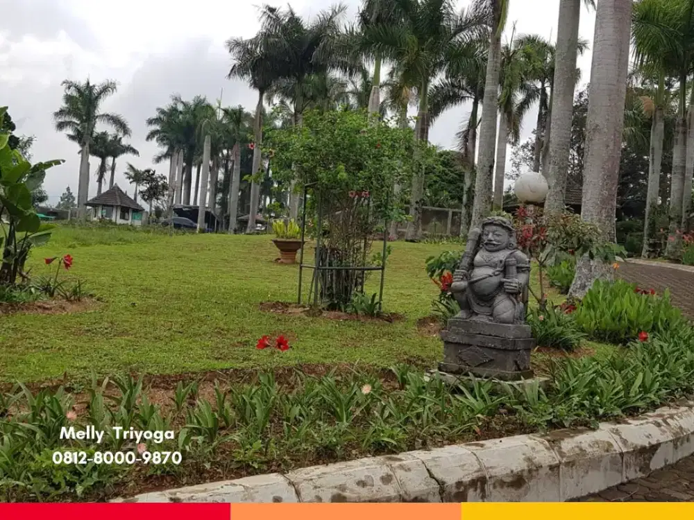 Dijual Tanah Bonus Gazebo, Sangkar Burung, dan Bangunan di Cipanas Puncak Bogor