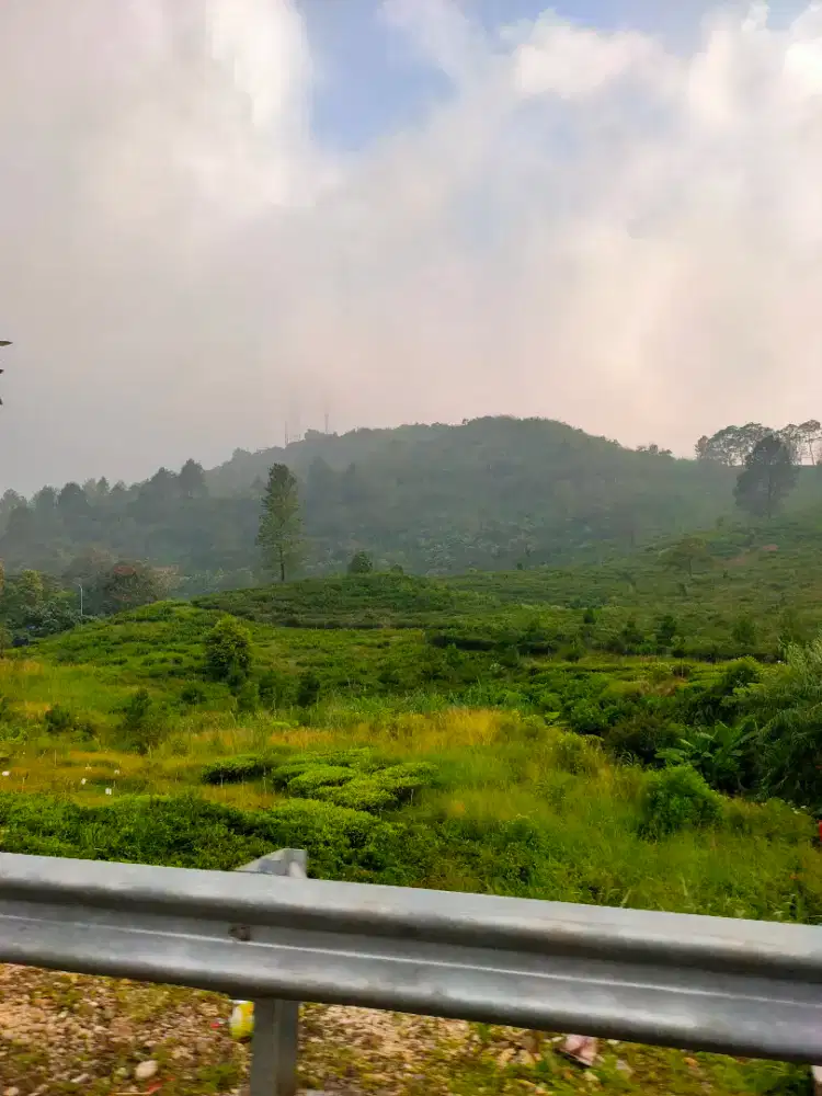 Bismillah sedang mencari pekerjaan