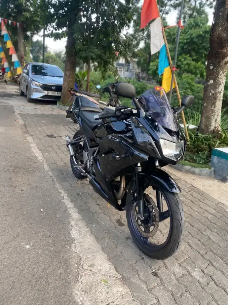 Ninja 150 RR New