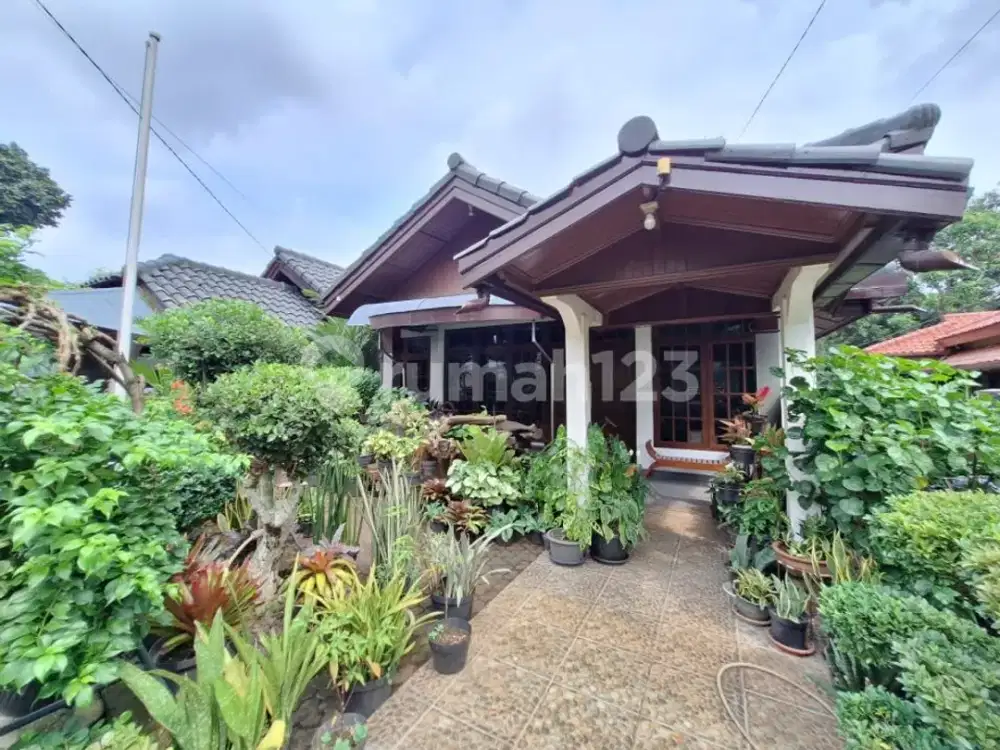 Rumah Unik, Teduh Dekat Kampus Gunadharma & Universitas Indonesia