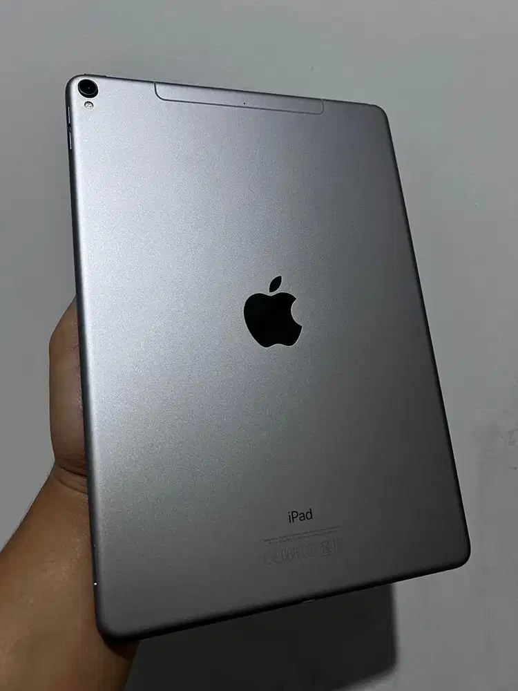 Ipad pro 10.5 256gb celluler+wifi
