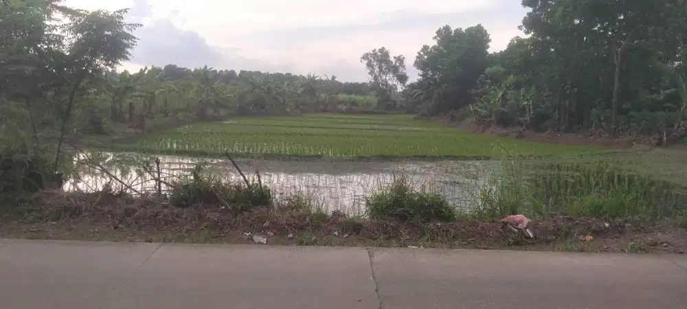 Tanah Pinggir Jalan Raya Lokasi Strategis Dekat Podomoro Tenjo
