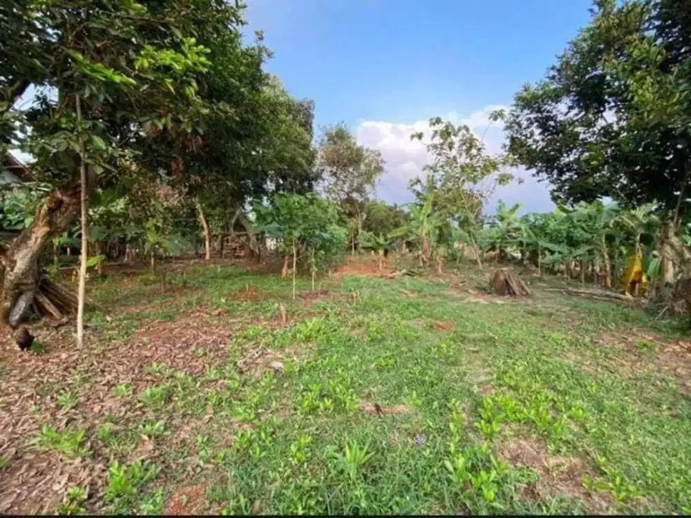 TANAH 1000 Meter PINGGIR JALAN STRATEGIS