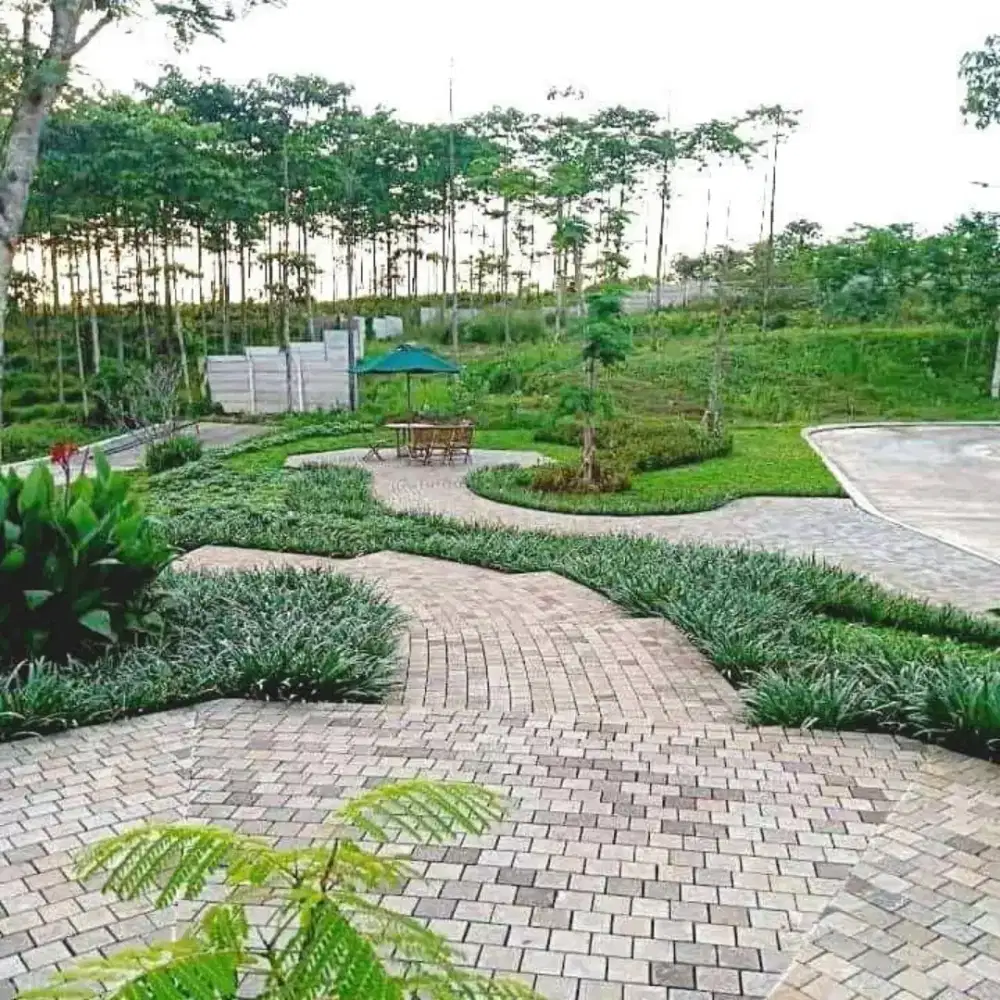 Jasa tukang taman profesional /landscape