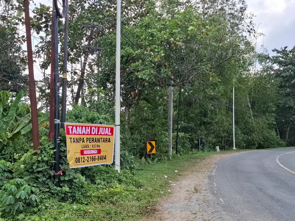 DIJUAL LAHAN PROSPEKTIF LUAS 4,3 HEKTAAR