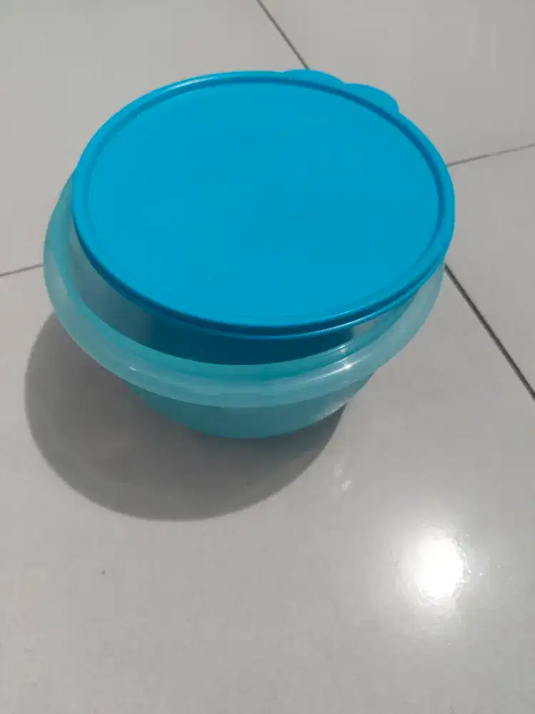 tupperware (1.0L)