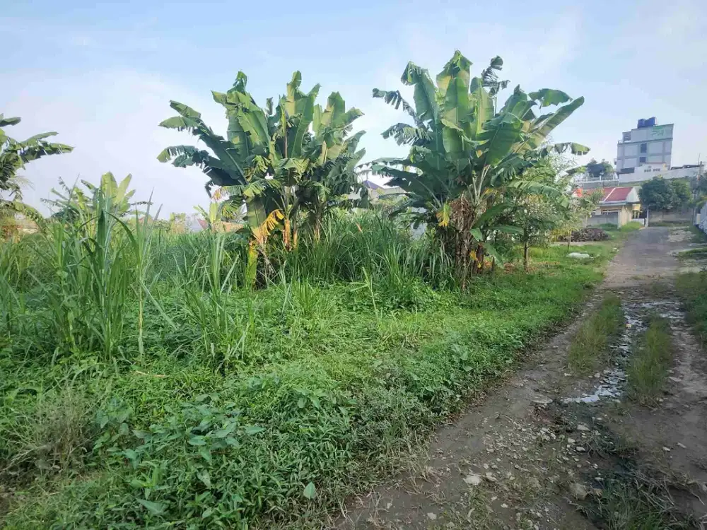 tanah kemiling deket kampung vietnam