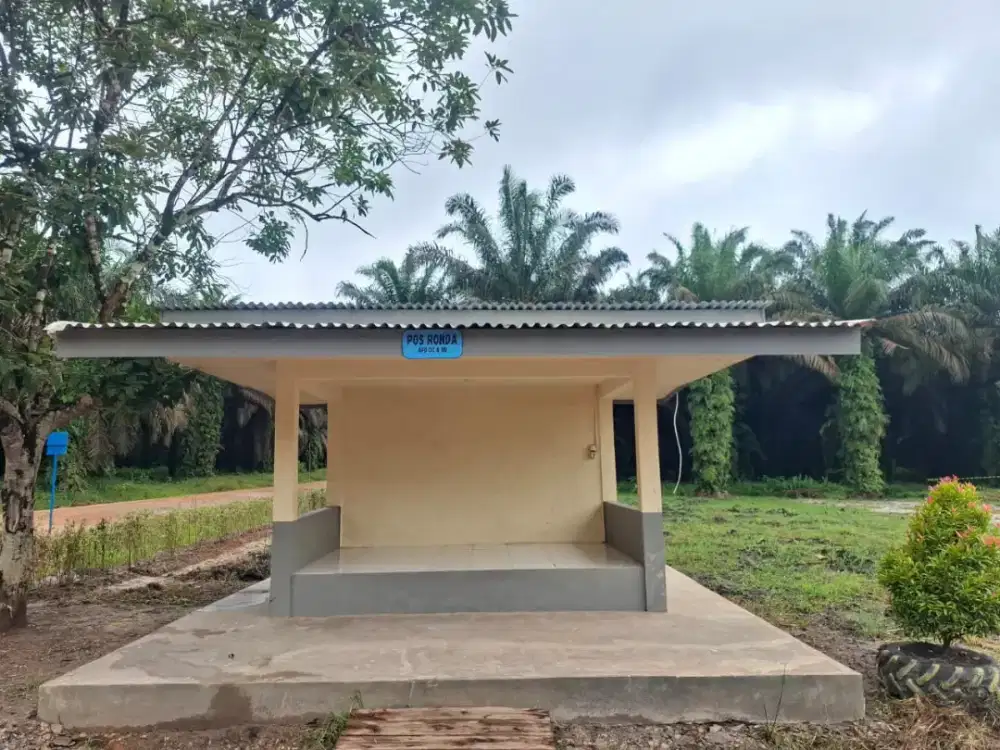 lowongan kerja perkebunan kelapa sawit
