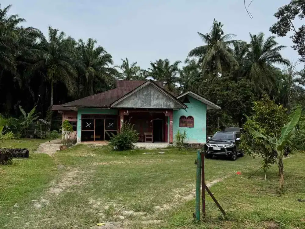 Dijual Tanah beserta Rumah
Jalan besar Kisaran Pematang Siantar 
Desa Huta Padang
Kecamatan Bandar Pasir Mandoge
Kabupaten Asahan
