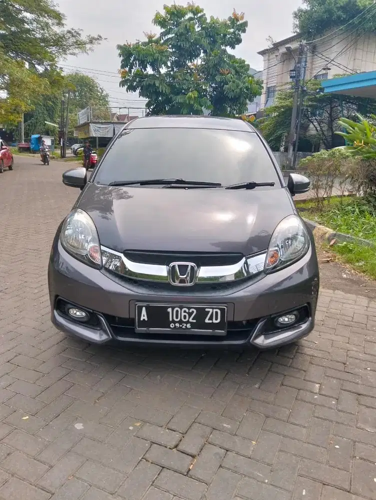 MOBILIO E MANUAL TH 2016