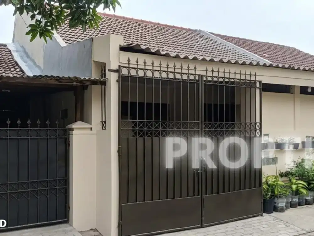 Umah 1 Lantai Rungkut Surabaya - Rm262apd