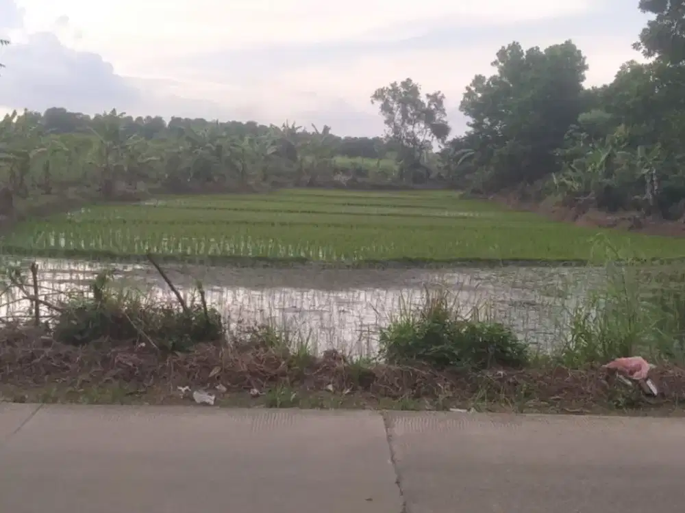 Tanah Pinggir Jalan Raya Lokasi Strategis Dekat Podomoro Tenjo