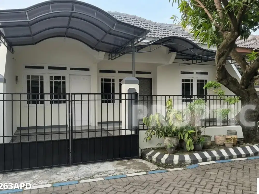 Rumah 1 Lantai Rungkut Surabaya - Rm263apd