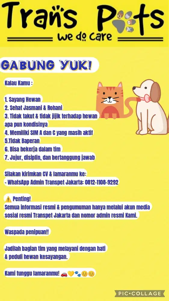 Dibutuhkan Pet Driver Part-time