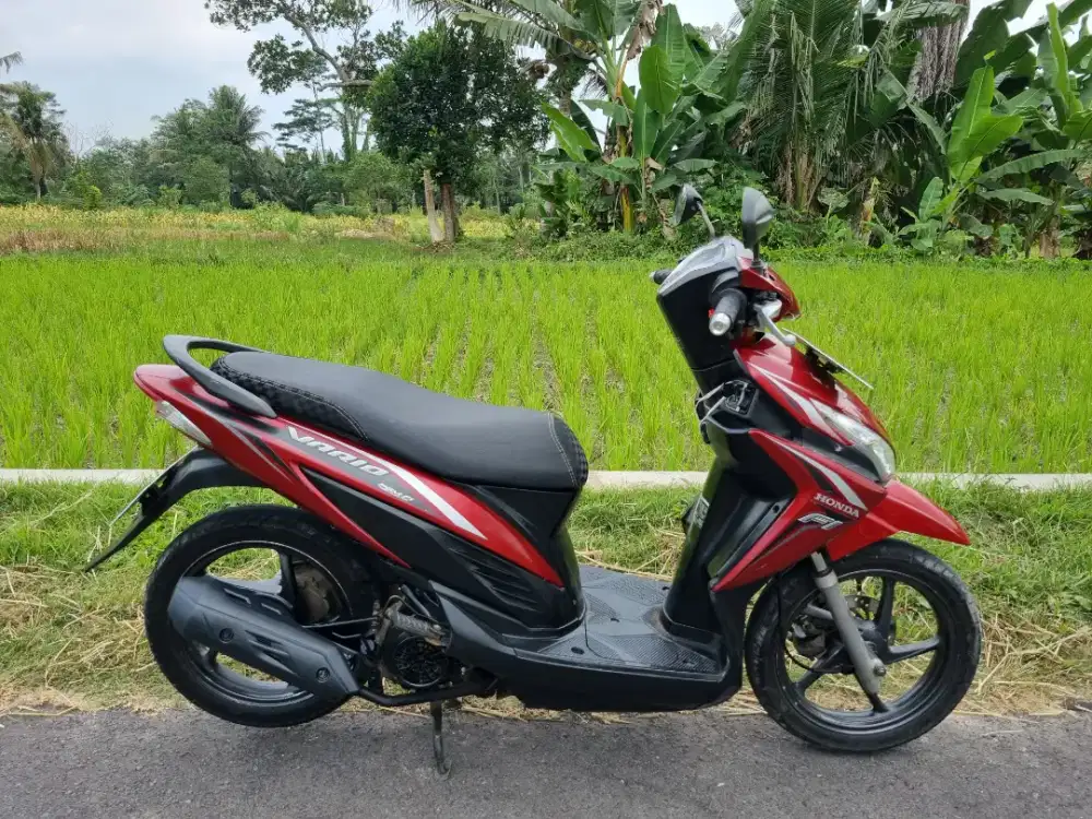 VARIO LED 110 2016 ESP