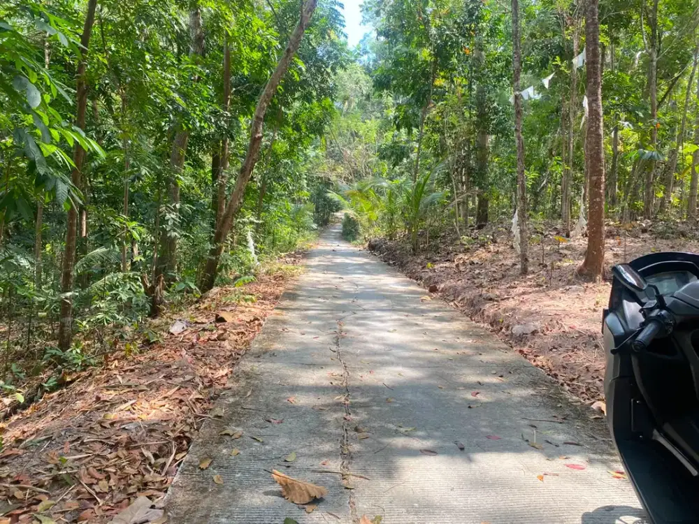 Tanah Kavling SHM Sleman Area Joglo Londo, Balecatur