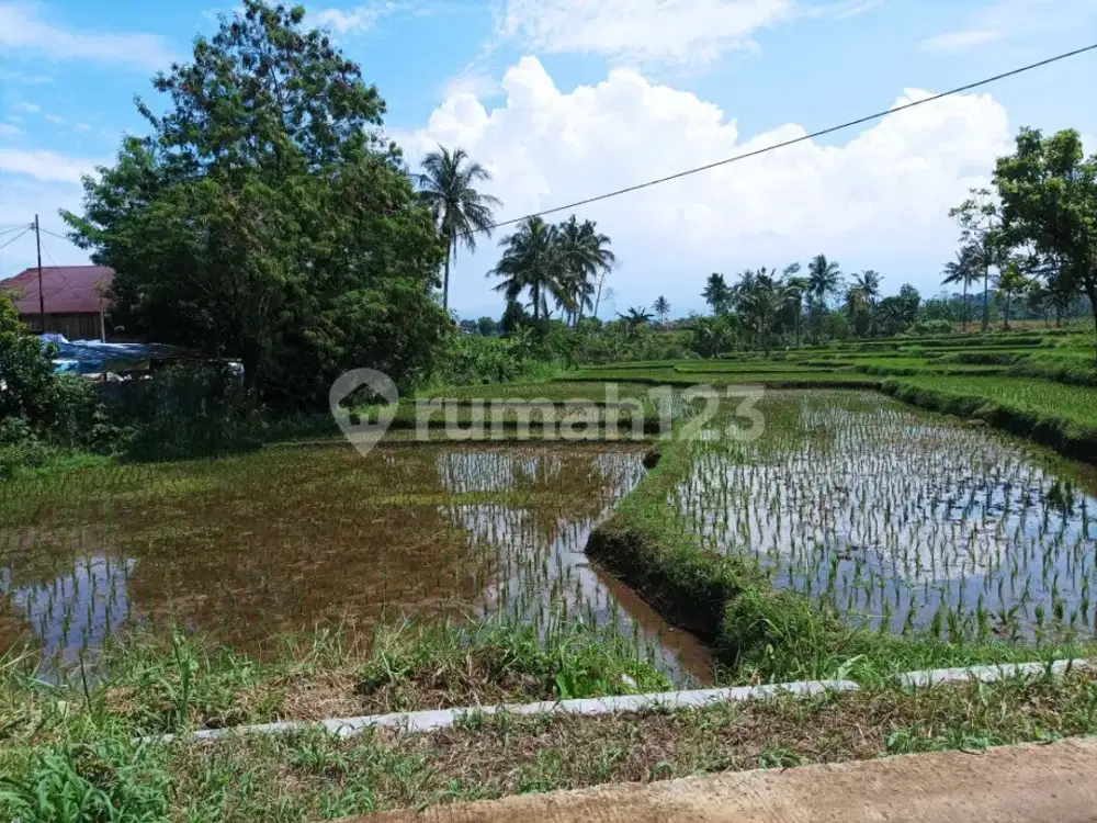 Jual Sawah Garapan