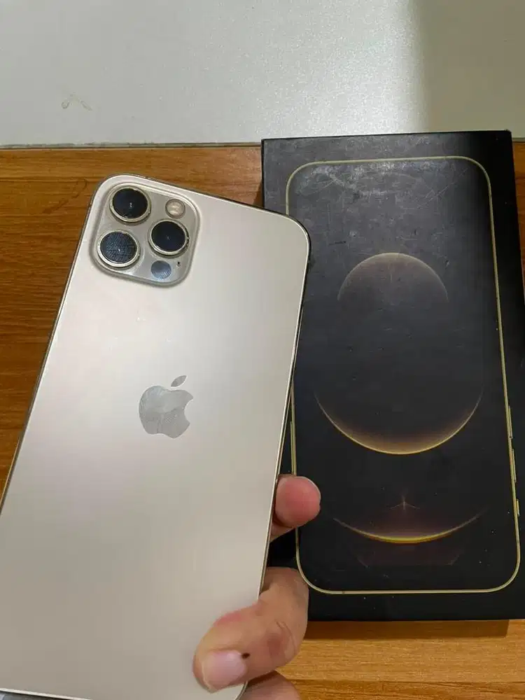 Iphone 12 pro 256 gb inter