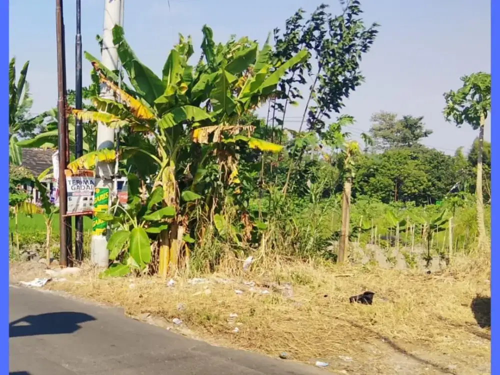 Tanah Jogja Mangku Jl Aspal Utara Condongcatur