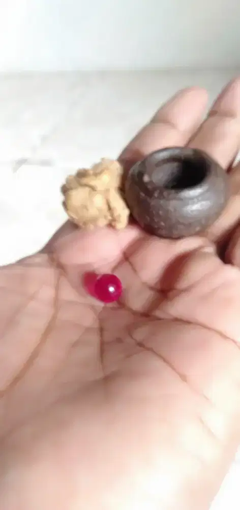 Mustika merah delima.