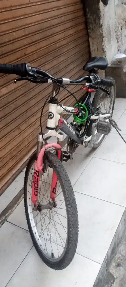 Sepeda polygon u24