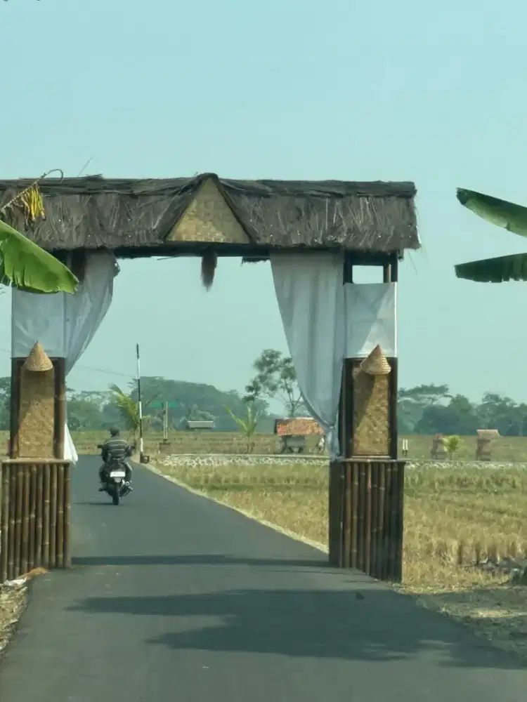Dijual Tanah Sawah (SHM - 1000M) Subur sekali