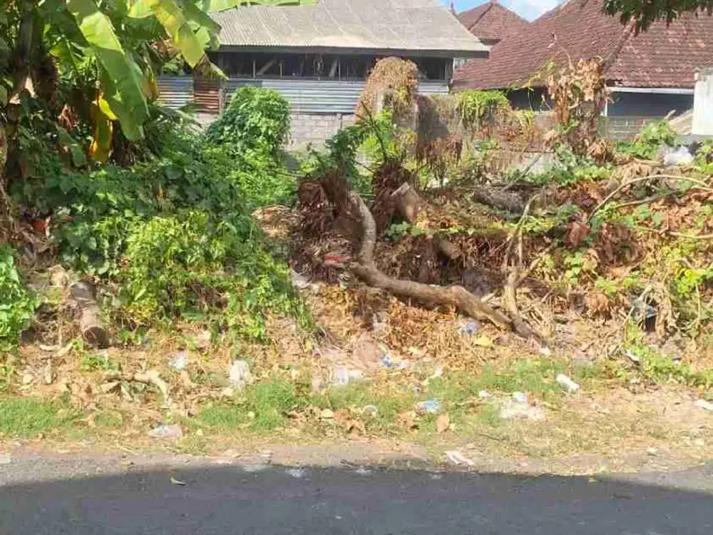 Di kontrakan tanah jalan Drupadi , Denpasar, Bali