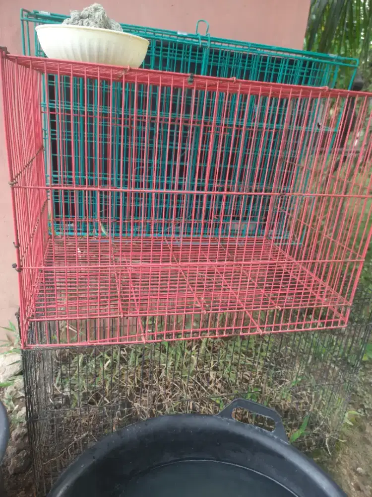 Kandang tempat kucing atau burung