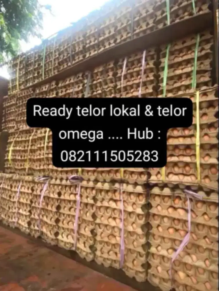 Dijual telor ayam negri dan omega