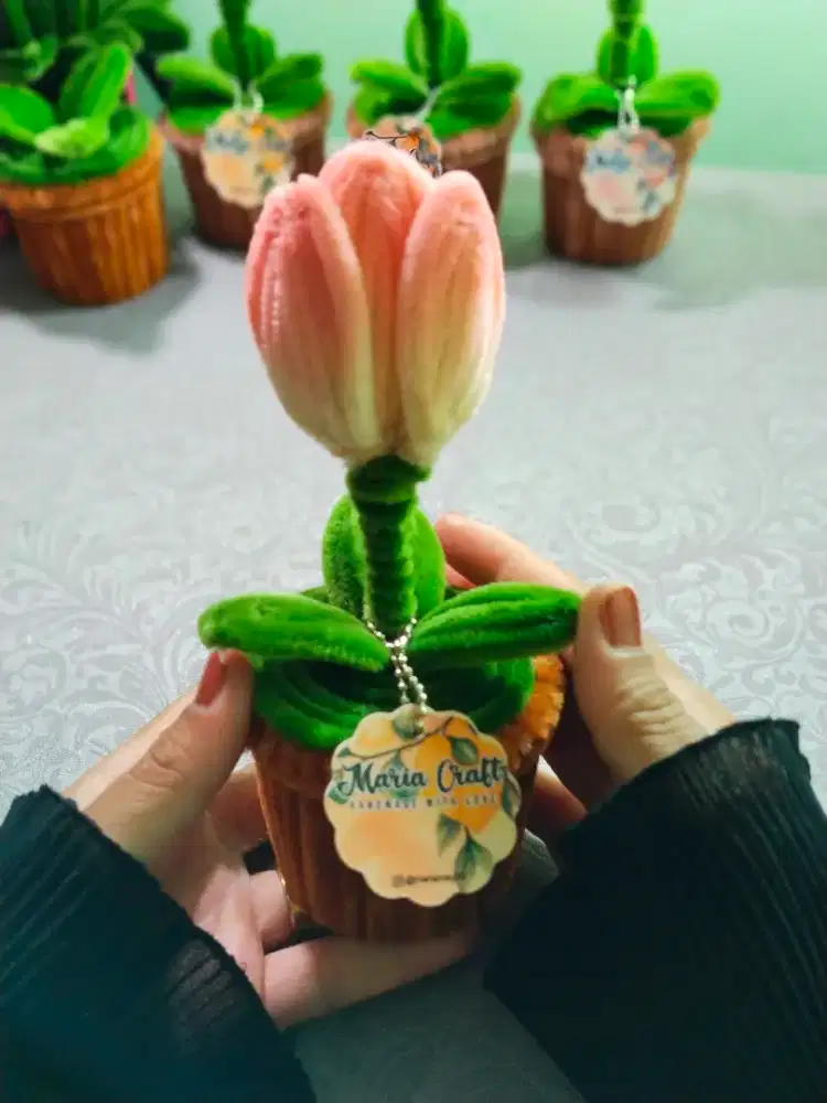 Bunga pot single tulip