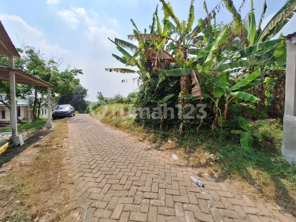 Tanah Murah Sebagai Investasi Jangka Panjang