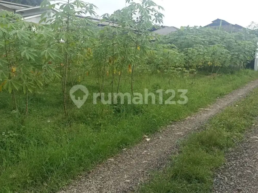Lahan Kosong di Pinggir Jalan Cibedug, Bogor, Cocok untuk Fila