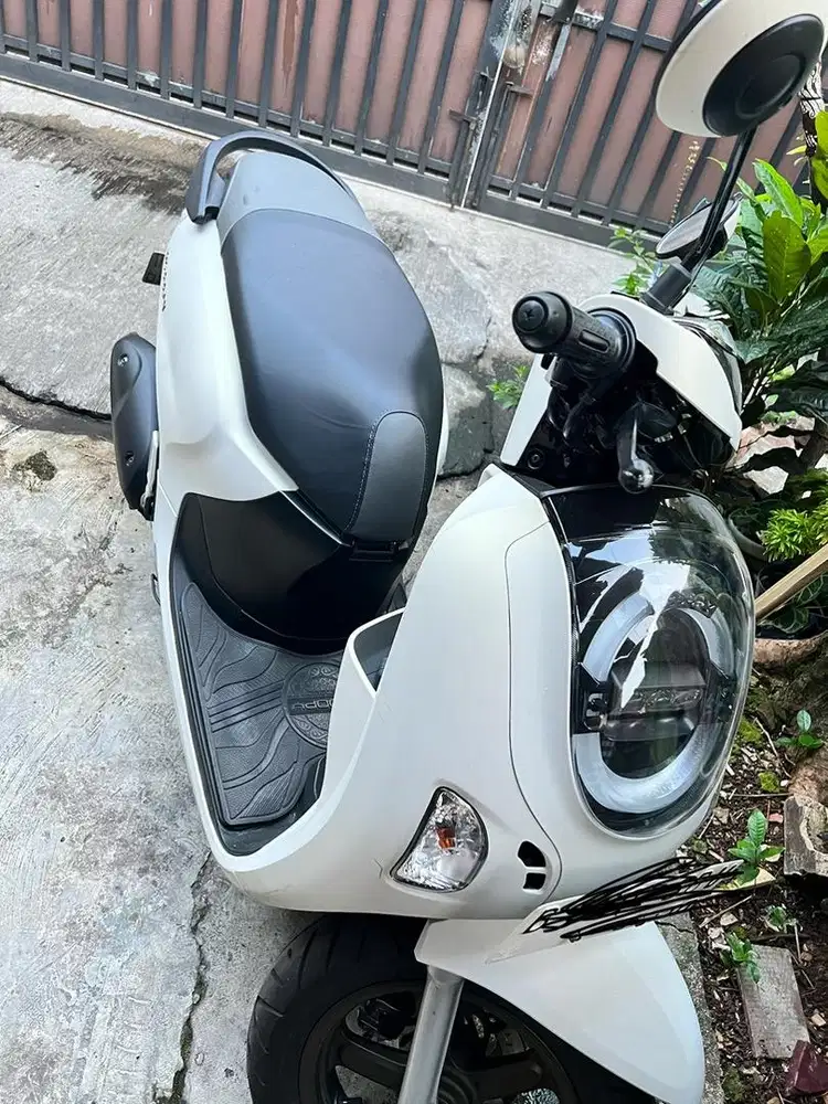 honda scoopy tahun 2025