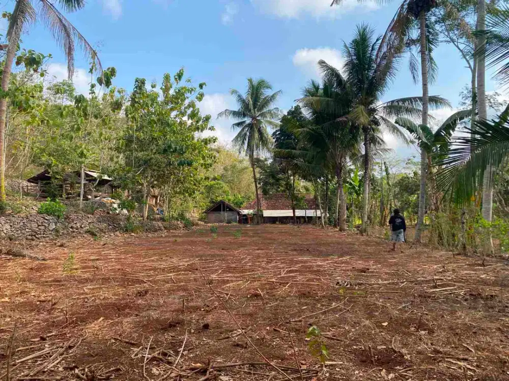Tanahmurah wonosari gunung kidul Pekarangan Hrga 75 jt shm 1.058 m²